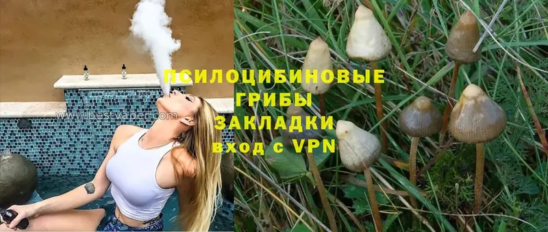 MEGA вход  Майский  Галлюциногенные грибы MAGIC MUSHROOMS 